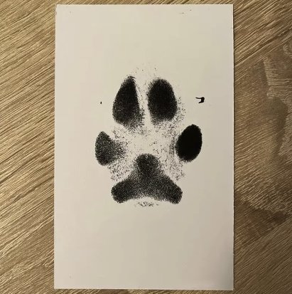 Pawsome Print - Paw Print Kit