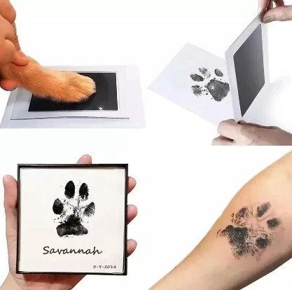 Pawsome Print - Paw Print Kit